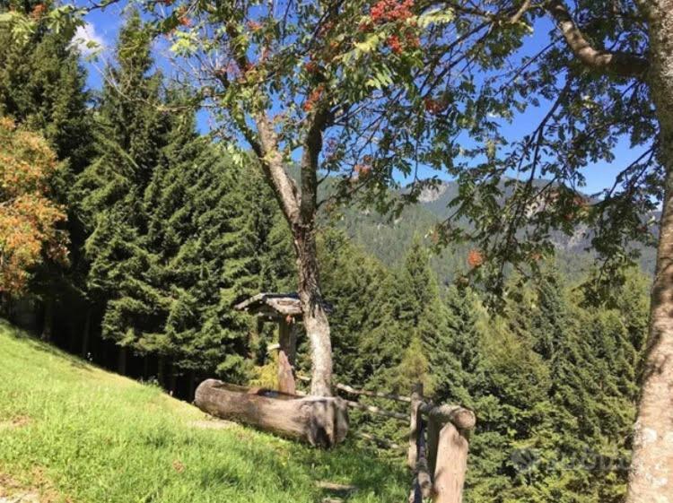 Baita Palue Torcegno Esterno foto